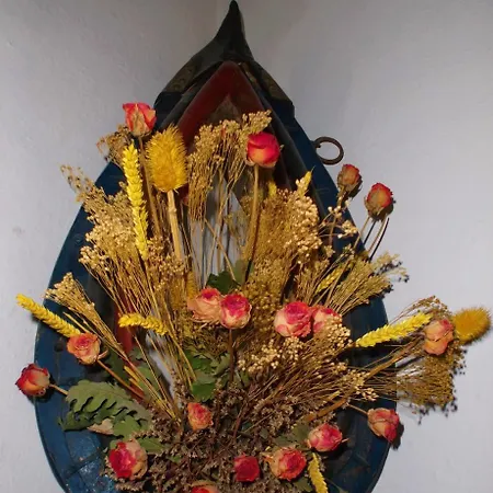 Alvera Bed and Breakfast